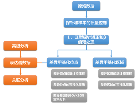 Illumina 甲基化芯片 850K 分析流程圖