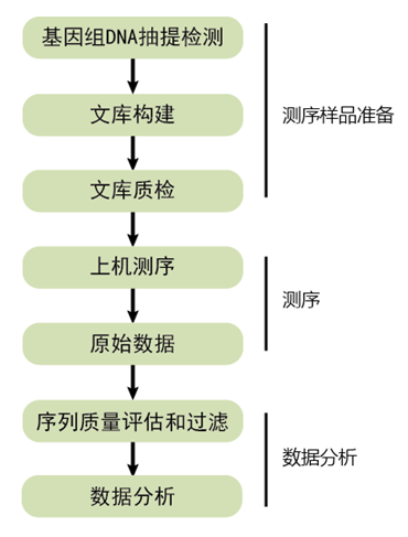 全基因組重測序項目流程