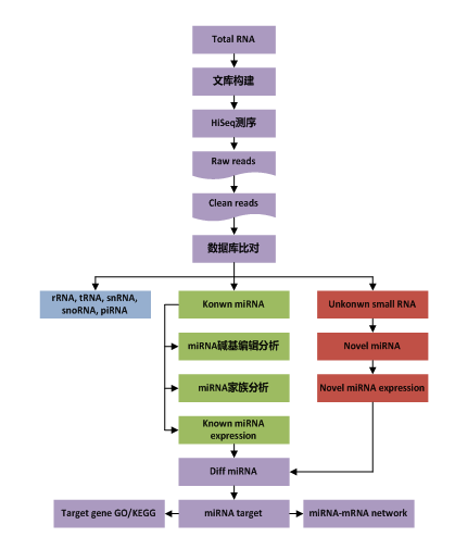 smallRNA 測序數據分析