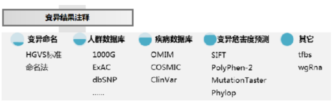 變異結果注釋