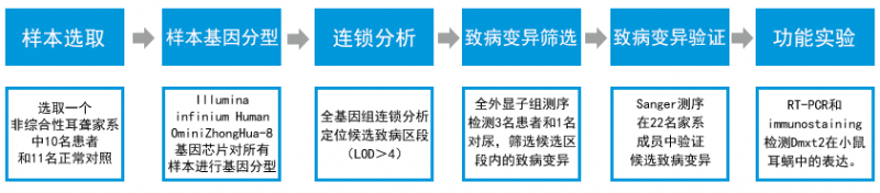 全外顯子組測序研究思路配圖