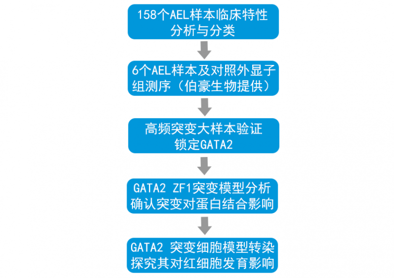 全外顯子組測序研究思路