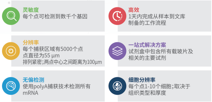 伯豪生物空間轉錄組測序