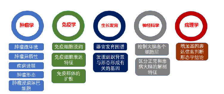 伯豪生物空轉測序