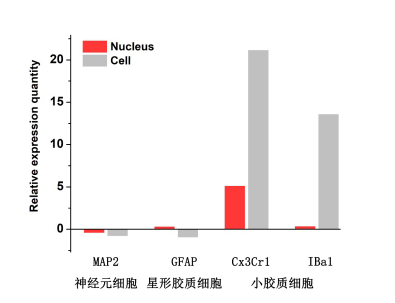 伯豪生物單細胞核轉錄組測序數據圖 5