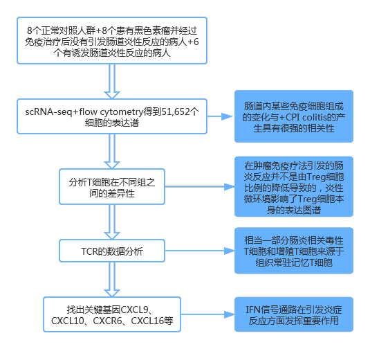 單細胞 RNA 測序