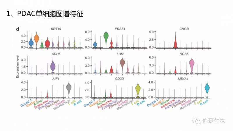 伯豪生物 單細胞測序服務 