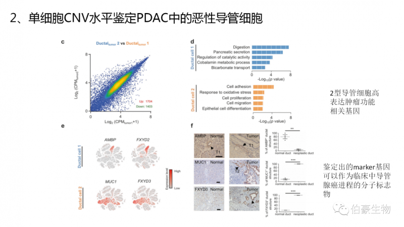  上海伯豪生物 單細胞測序技術 服務 