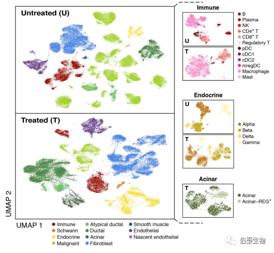 單細(xì)胞核測序 scRNA-seq 圖 1