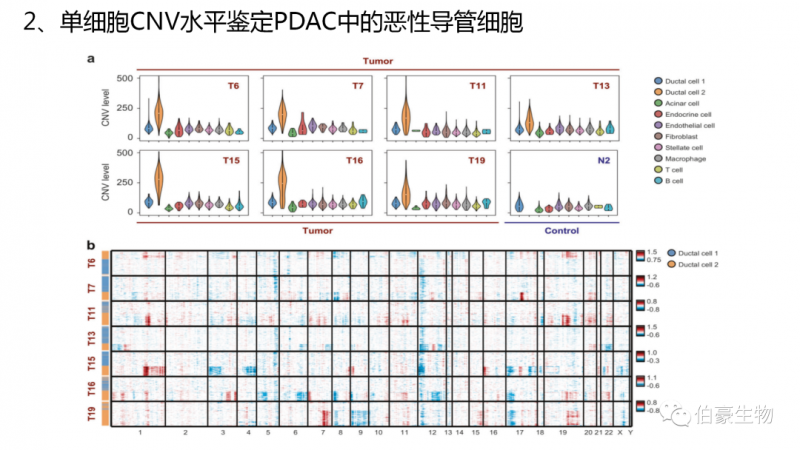 伯豪生物單細胞測序技術服務