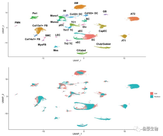 單細(xì)胞核測序 scRNA-seq 圖 3
