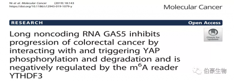 RNA 甲基化測序 m6a 甲基化測序 伯豪生物甲基化服務(wù)客戶發(fā)文