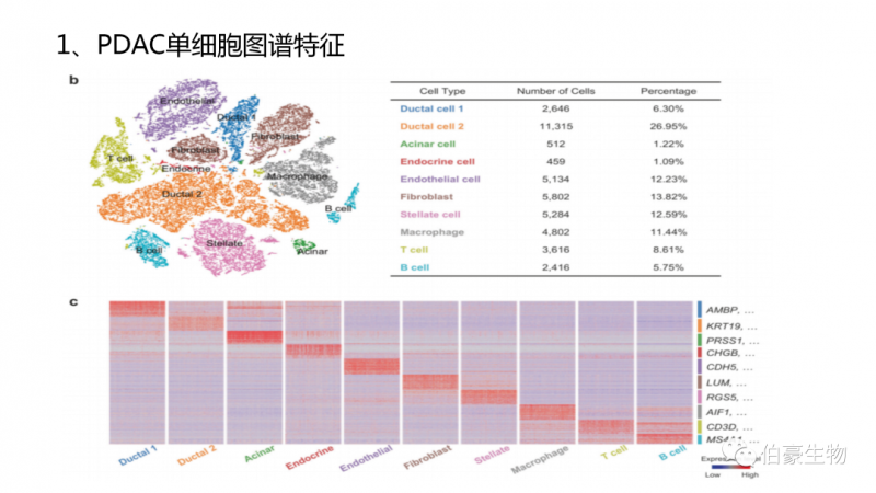  伯豪生物 單細胞測序 服務 