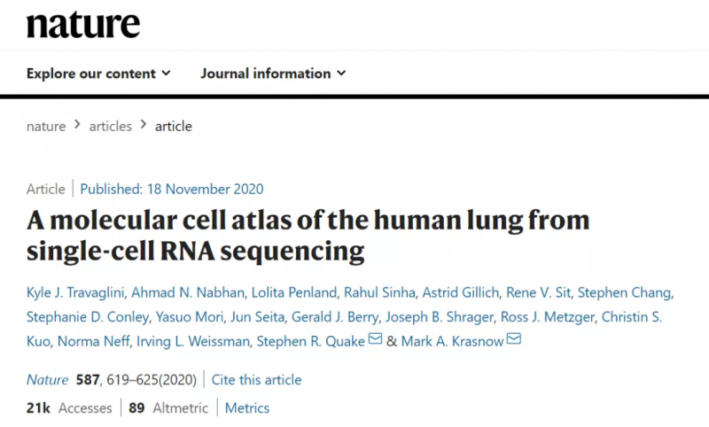 利用單細(xì)胞 RNA-seq 技術(shù)創(chuàng)造了全肺圖譜