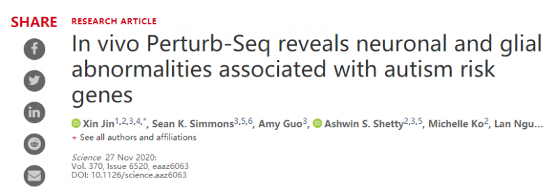 體內(nèi) Perturb-Seq 揭示與自閉癥風(fēng)險(xiǎn)基因相關(guān)的神經(jīng)元和神經(jīng)膠質(zhì)異常