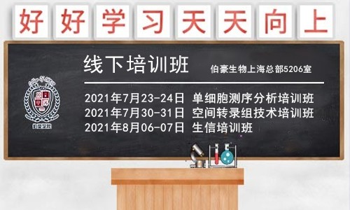 重磅！暑期系列培訓班開課通知，6 月報名可享優惠！