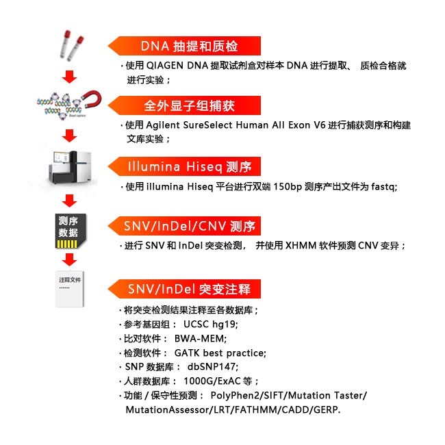 全外顯子組測序?qū)嶒灹鞒? style=
