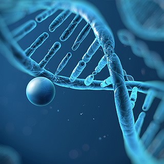表觀遺傳學研究設計