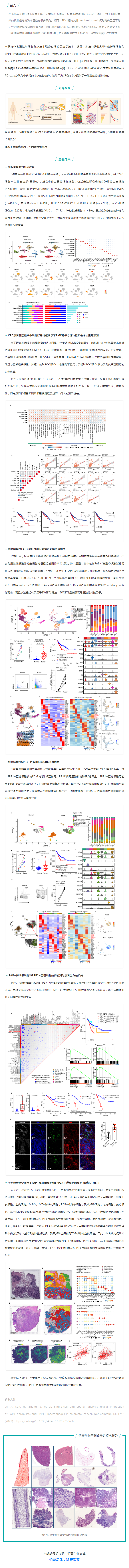 空轉(zhuǎn)實驗文章 NC- 上海免疫所蘇冰_葉幼瓊團隊揭示結(jié)直腸癌腫瘤邊界間質(zhì)細胞與巨噬細胞互作模式