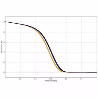 AriaMx HRM qPCR 軟件