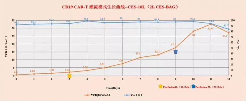 T 細胞在 MCMCulLymT-SFM10 中規(guī)模化培養(yǎng)