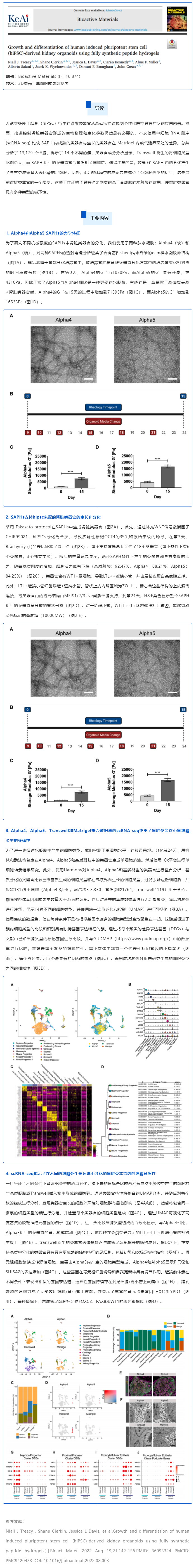 全合成肽水凝膠培養的人誘導多能干細胞（hiPSC）來源的腎類器官的生長和分化