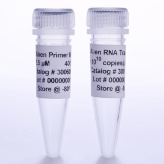 Alien QRT-PCR 產品圖 2