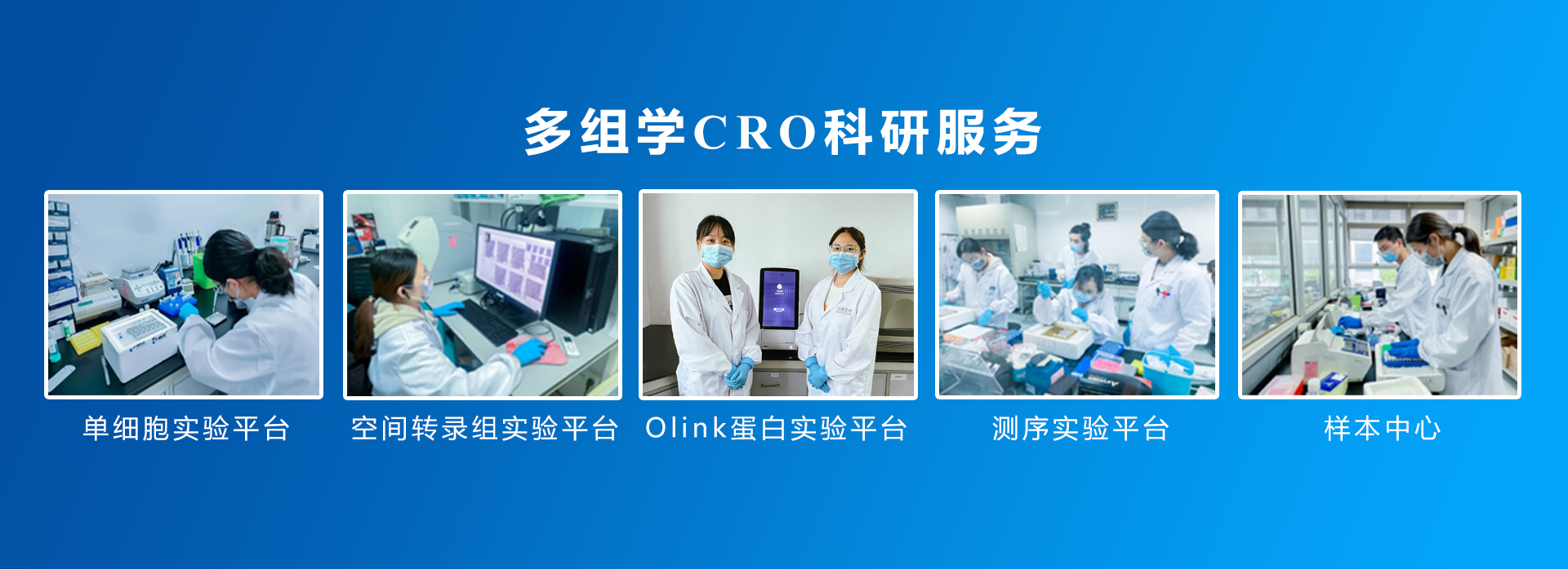 伯豪生物 CRO 服務內容