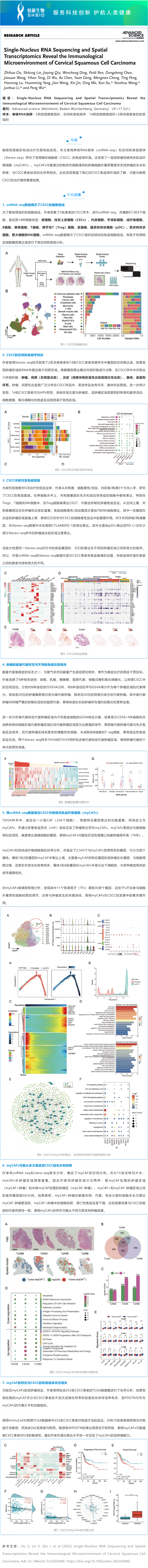 文獻解讀 | 單核 RNA 測序和空間轉錄組學揭示宮頸鱗狀細胞癌的免疫微環境