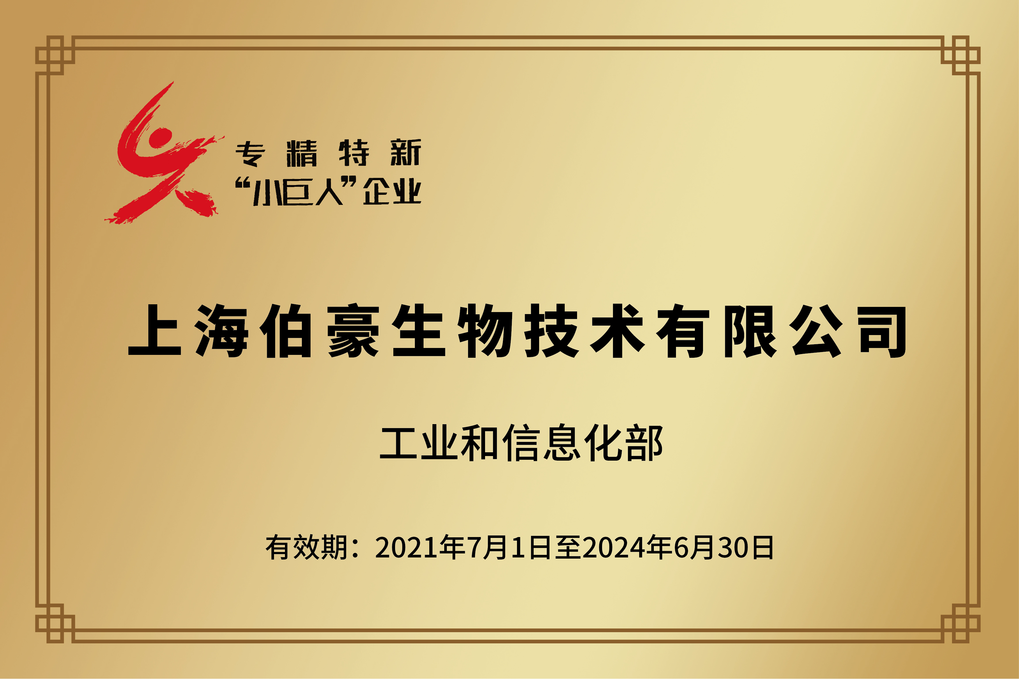 國家級專精特新“小巨人”企業