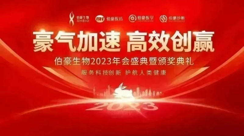 豪氣加速，高效創贏
