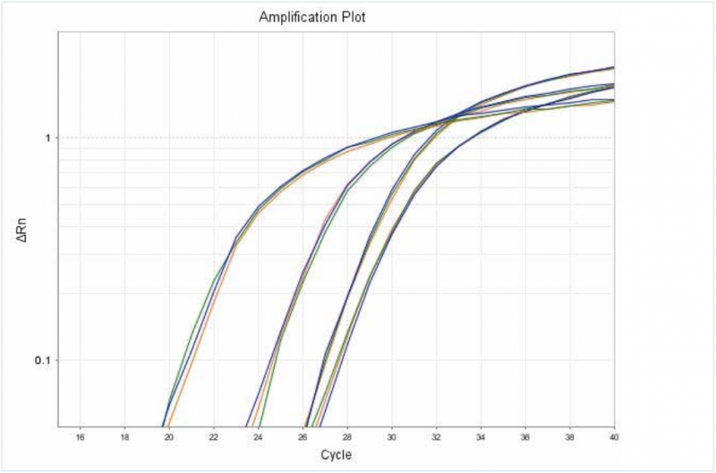 RNA 純度與質量熒光定量 PCR 檢測