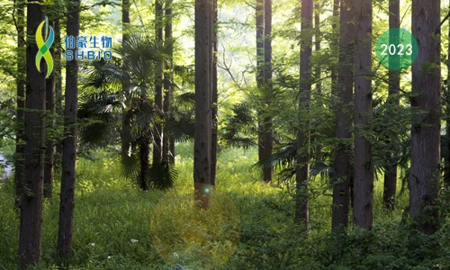 會議邀請 | 伯豪生物誠邀您參加第八屆中國林業學術大會