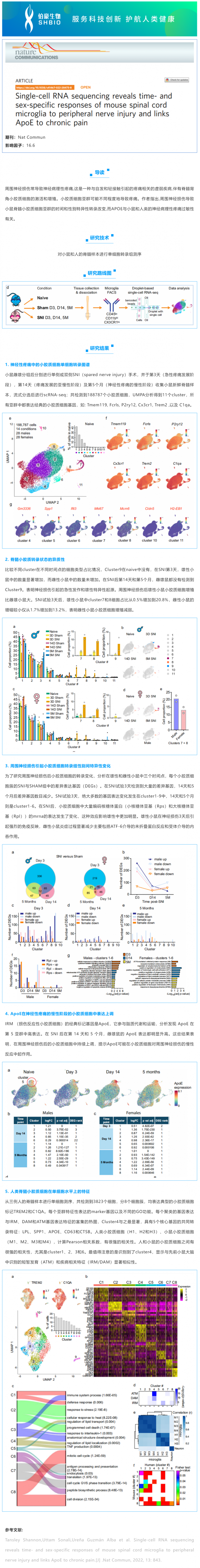 文獻解讀_單細胞 RNA 測序揭示了小鼠脊髓小膠質細胞對周圍神經損傷的時間和性別特異性反應，并將 ApoE