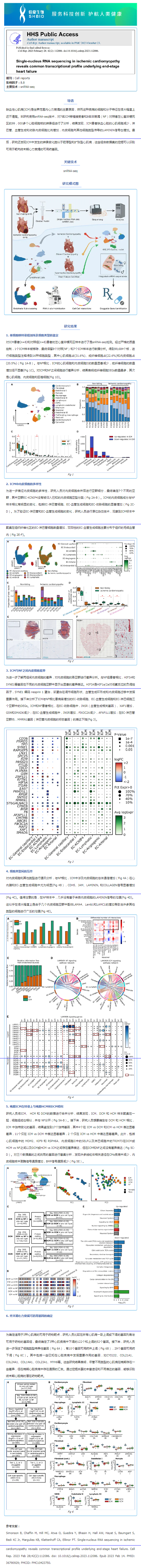 文獻解讀 _ 缺血性心肌病患者的單核 RNA 測序顯示終末期心力衰竭的共同轉錄模式