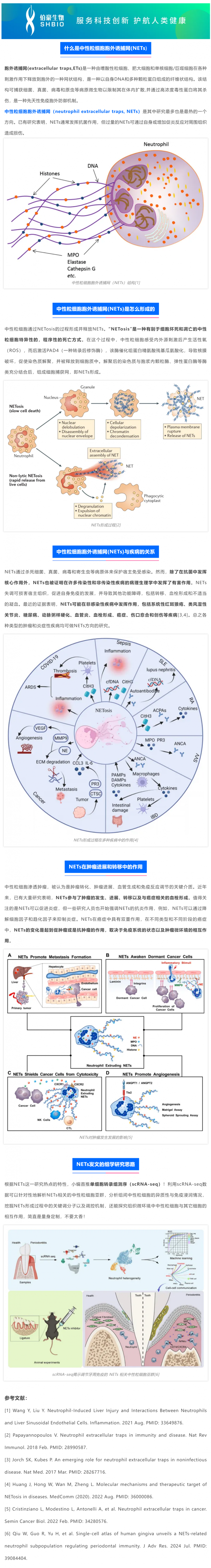 2025 國自然熱點 _ 中性粒細胞胞外誘捕網（NETs) 該如何研究