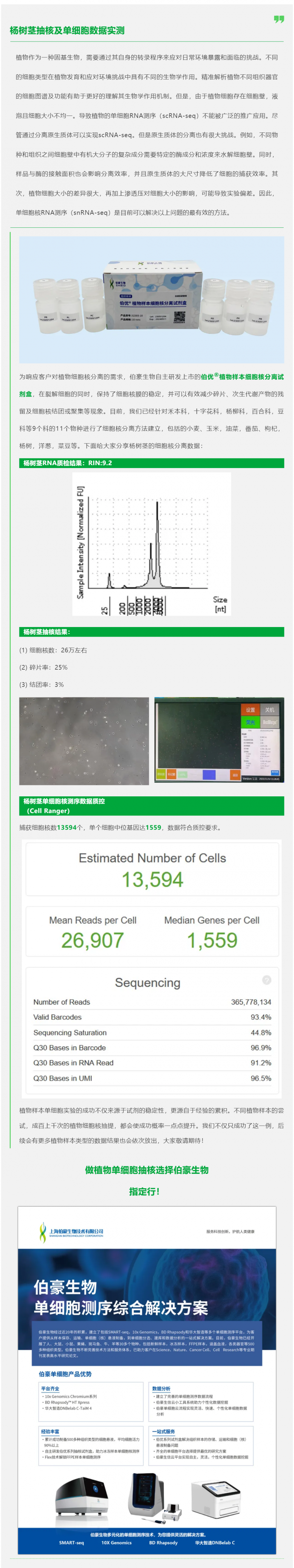 植物抽核哪家強！伯優試劑來幫忙！楊樹莖抽核及單細胞數據實測