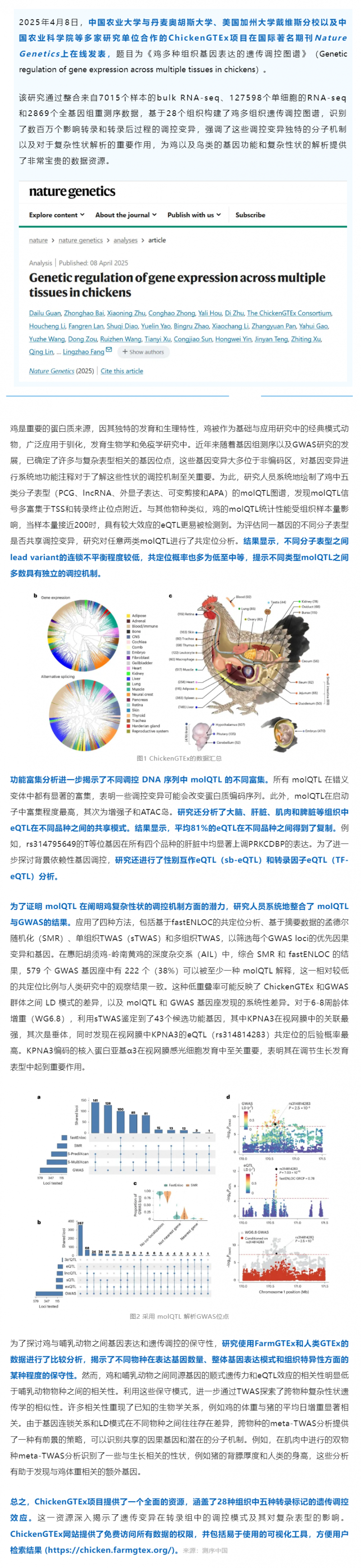 Nat Genet 丨中國農業大學等多國團隊繪制雞多組織遺傳調控圖譜