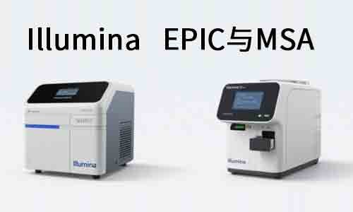 甲基化芯片平臺怎么選？Illumina EPIC 與 MSA 的全面對比與應用指南
