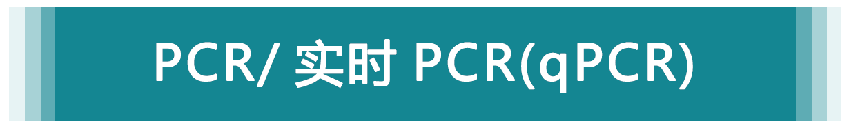 PCR/ 實(shí)時(shí) PCR（qPCR）