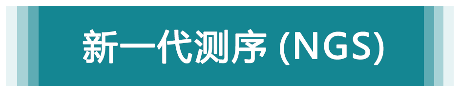 新一代測(cè)序（NGS）