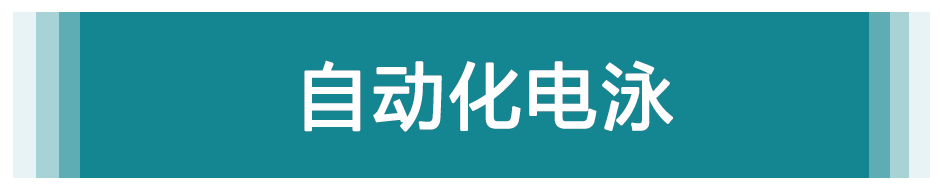 自動(dòng)化電泳系列